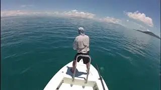 Saltwater flyfishing Hinchinbrook Island