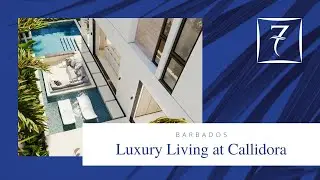 Barbados Luxury Real Estate: Stunning New Homes for Sale in Barbados 50 Steps from Gibbes Beach