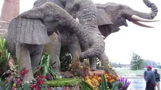 2026 Rose Parade Float San Diego Zoo Judging