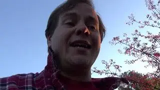 Great and Terrible Gardening s1e3