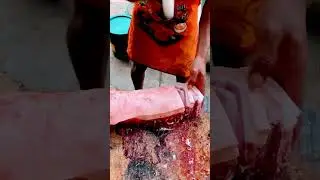 Pork Meat Cutting Master👌3👌 #Shorts #Reels #Pork #Porkmeat #Assam #Porkbelly #Porkrecipe #Porksisig