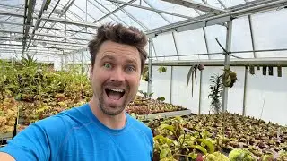 A quick greenhouse walk-through at Taerwe Tropicals in Belgium
