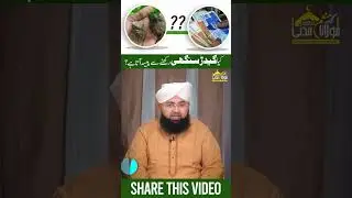Kiya Geedar Singhi (Jackal's Horn) Rakhne Se Paisa Ata Hai? #MunimAttari #Status #Bayan