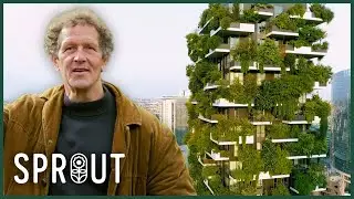 Inside Milan&rsquo;s Vertical Forest 110m Above the City | Gardeners' World