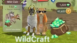 Buying Wildclub For the first time!!
