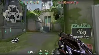 savui