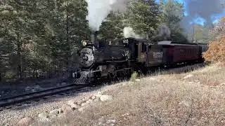 Rio Grande Southern No. 20 Photo Run-by One