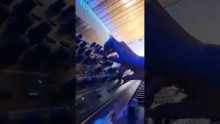 ( 1 jour _1 pattern ) ARTURIA MatrixBrute sequence by Djuindamix