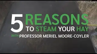 Haygain 5 reasons to steam hay
