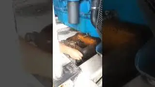 Ganti oli genset 508 kW #shorts
