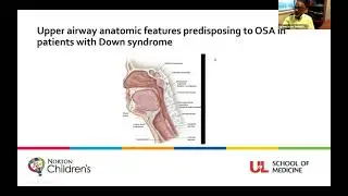 Education Session Sleep Apnea