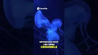 L'In&eacute;vitable Ch&acirc;timent   Comprendre les Signes d'Allah #coran #duo #verset