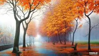 Autumn meditation