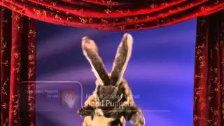 Folkmanis&reg; Rabbit Stage Puppet Demo