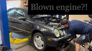 BLOWN Engine?! UNAVAILABLE Parts?! A Deep Dive Into Our W210 E55 AMG