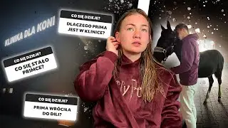 PRIMA W KLINICE! 😰 | WR&Oacute;CI DO RIO NA ZAWSZE?
