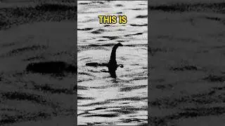 Loch Ness Monster: The Truth Behind the Famous Photo! ｜Nessie ｜#marineanimals #animals