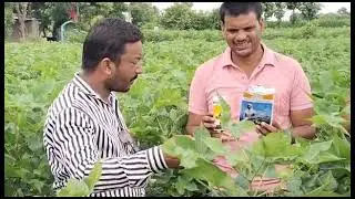 ऑक्सालीस( SwalOxalis) -बायो क्लासीक (Bio-Classic) यशोगाथा