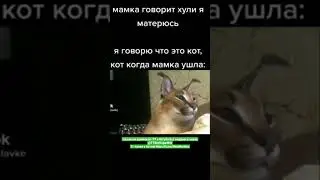 мем  #смех #ржака #юмор #мемы #жиза #смешно #угар #прикол #весело #шутки #шорты