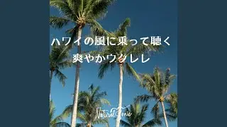Coconut Shade Harmony