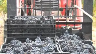 Heritage Vineyards - Seasonal Documentary