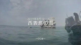 沖縄・西表島の海 ダイビング 2019 Gopro Hero4 Okinawa Diving