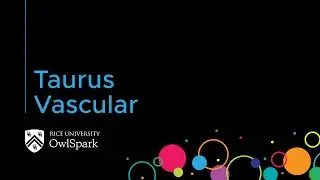 Taurus Vascular | OwlSpark, Rice University