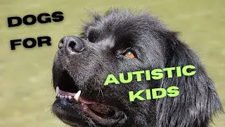 Worst and Best Dogs for Autistic Children