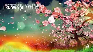 Tim van Werd featuring J. Ward Brew - I Know You Feel It