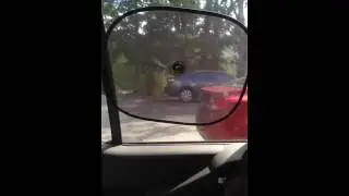 #CarWindowShades