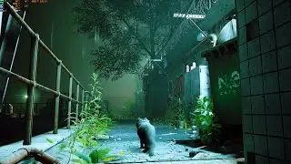 Stray Cat Ray tracing Full Game Part 4 Cat adventure