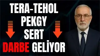 TEHOL HİSSESİNE DARBE .TERA-TEHOL-PEKGY SON DURUM
