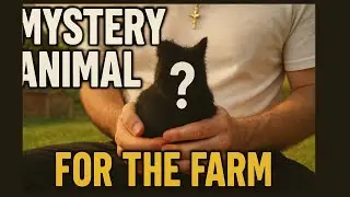 New Farm Animal!?