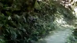 Natural Resonance, Natures Magic