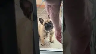 Ваш любимый контент❤️ подписывайся, ждём тебя!!