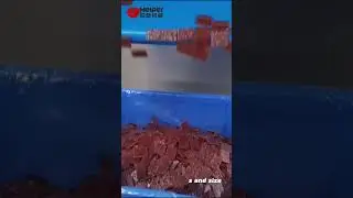 Industrial Meat Cutting Machine. How to make dried meat slice?
