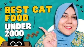Best Cat Food Under 2000 PKR + 1 FREE Meal! Must-Try Deal for Pet Parents!😱🔥