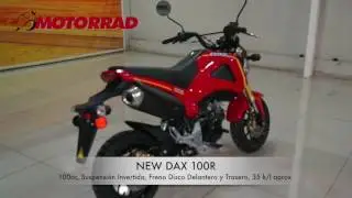 DAX 100R