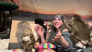 29 Years Ago Diva Monkey Angel Bullock Made Me A Monkey Mom