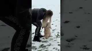 Лева с хозяйкой вышли посмотреть на птичек