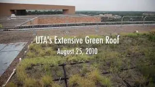 UTA's Extensive Green Roof
