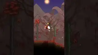 Tips for surviving in Terraria #terraria #terrariatips #viral #foryou #tips #sandbox