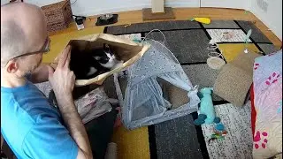Mailbag 2024-06-02 with wand toy playtime