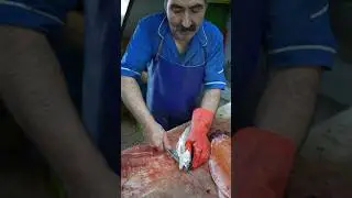 Speed Filleting Fish &ndash; Pro Knife Skills