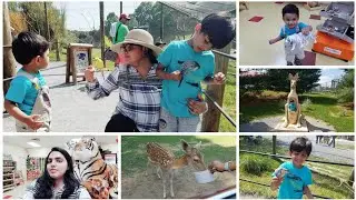 Indian mom weekend vlog !!VIRGINIA SAFARI 2019!!