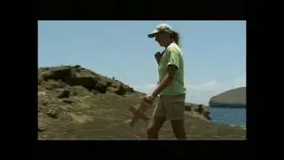 &ldquo;Gal&aacute;pagos - Custodian of the Ark&ldquo;, ZDF 2004, 43 Min, Outtake 6