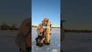 Самый дешевый чат в Темусе