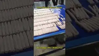 Commercial Meat Cutter Machine | Uniform Slicing of Beef & Goat Meat
