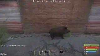 AMSR Following Mr Piggles around Outpost during a thunderstorm 2 Hour Loop To Fall Asleep To