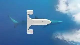 VIDEOTORIAL: The Lufthansa Group. Connecting the world. Protecting its future